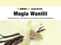 BiopaliwoGMT zapachowe magia wanilii 02.webp