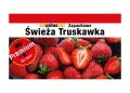 biopaliwo truskawka zestaw 3x1L kopia.webp