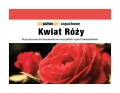 biopaliwo róża zestaw 3x1L kopia.webp